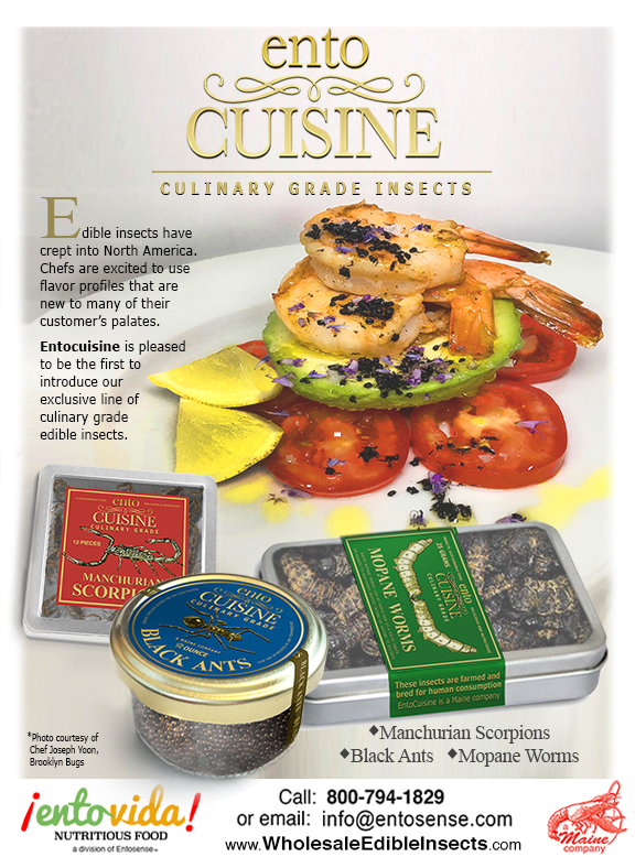 Gourmet Edible Insects