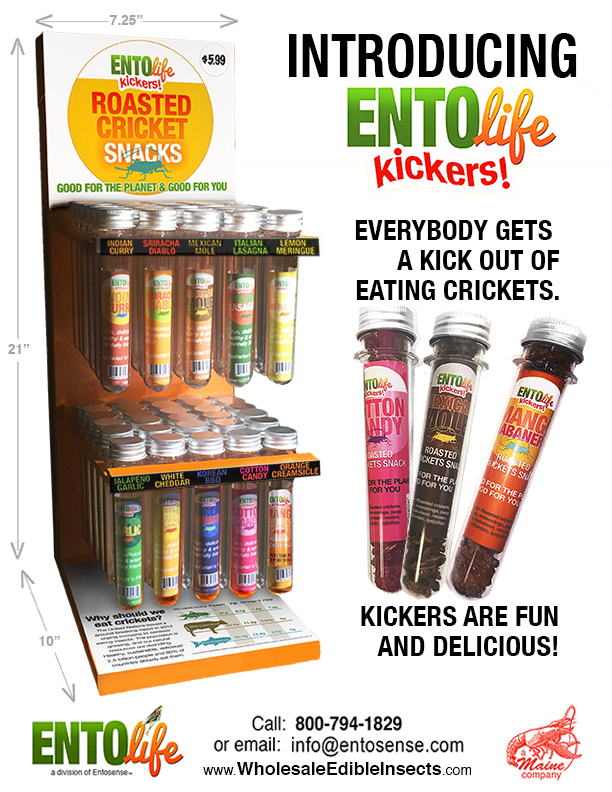 Mini-Kickers-Flavored-Crickets