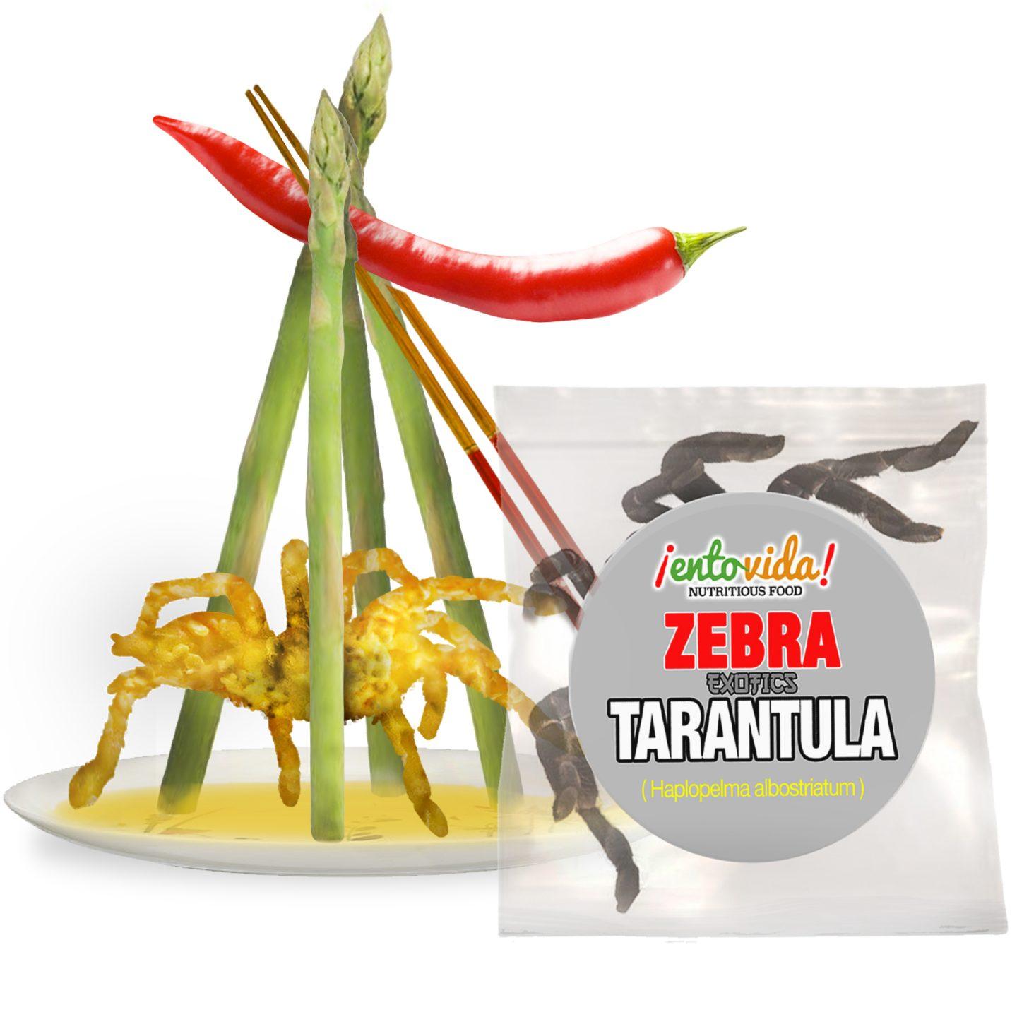 Edible Zebra Tarantula – Wholesale Edible Insects